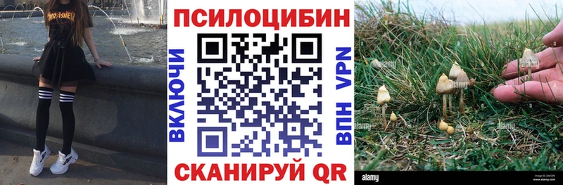 Псилоцибиновые грибы Magic Shrooms  Светогорск 
